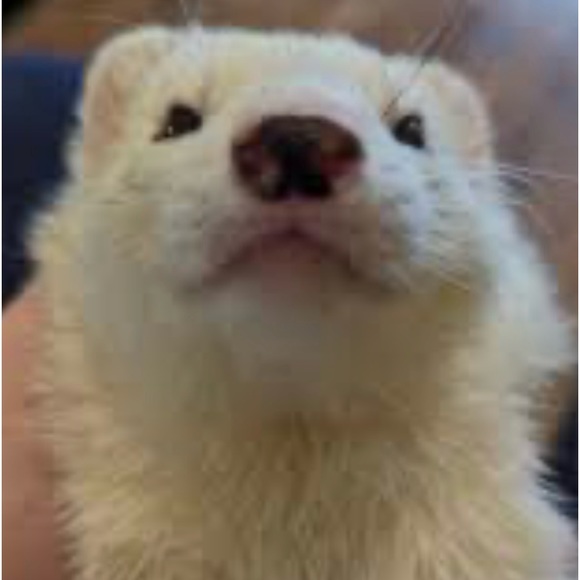 ENJOY YOUR WEEKEND EVERYONE! Happy Poshing 😊😊😊🛍️🛍️🛍️🥂🥂🥂 - Picture 4 of 6